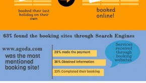 Domestic travel survey results: Infographic