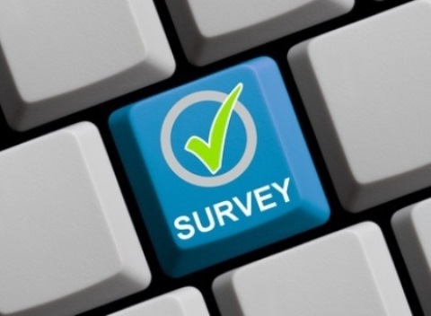 Learning about your customers and market cost effectively through online surveys