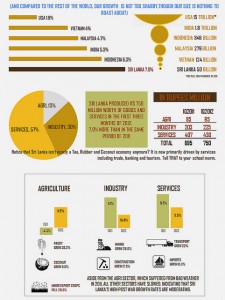 The role of infographics in the online marketing mix